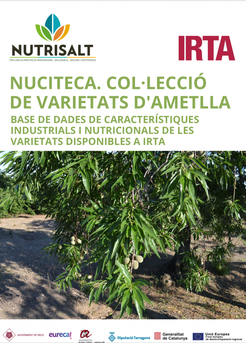 Nuciteca