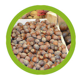 Avellanes