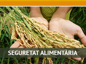 Seguretat Alimentària