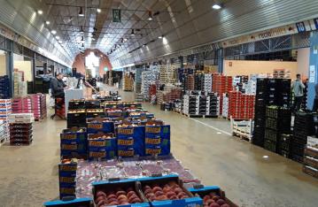 Amb Jordi Escrivà al Mercat del Camp