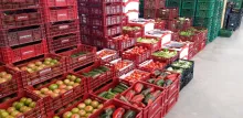 Productes del Mercat del Camp