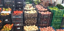 Productes del Mercat del Camp
