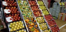Productes del Mercat del Camp