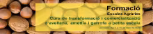 Cartell d'avellana, ametlla i garrofa a petita escala